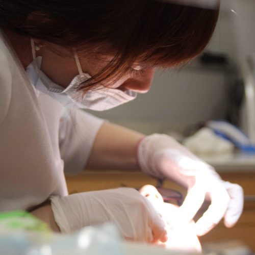 Clínica Dental Gracia